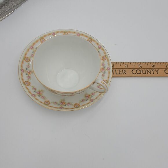 Vintage MZ Austria Habsburg China Teacup Saucer Floral Porcelain Gold Trim - Picture 10 of 11